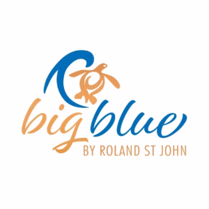Big Blue Logo Sq