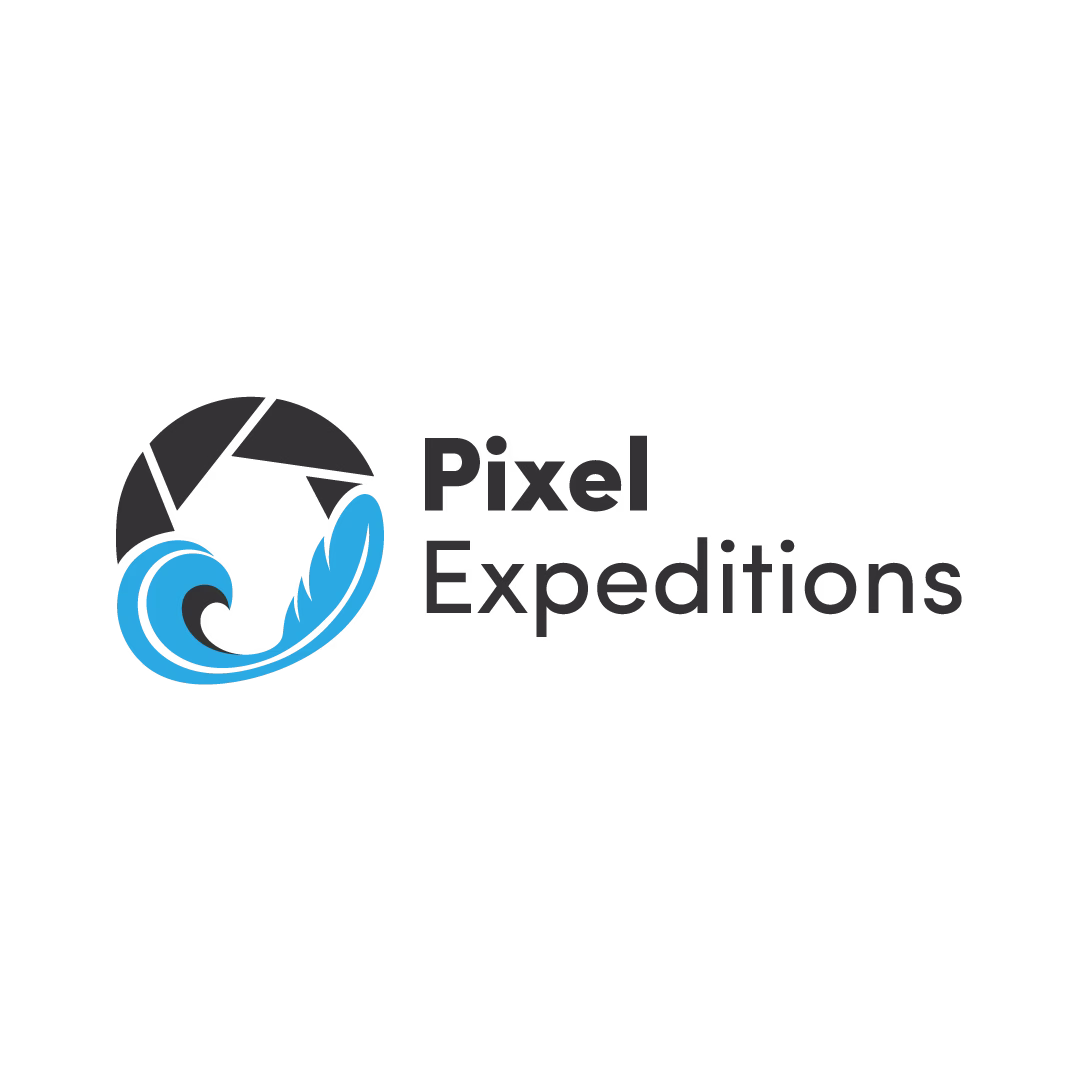 Pixel Expeditions logo