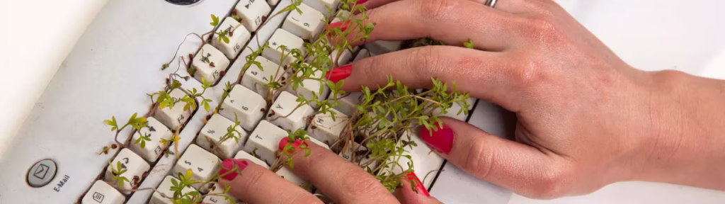 Start small with digital tools illustration: keyboard overgrown with plants, representing complexity without clarity.