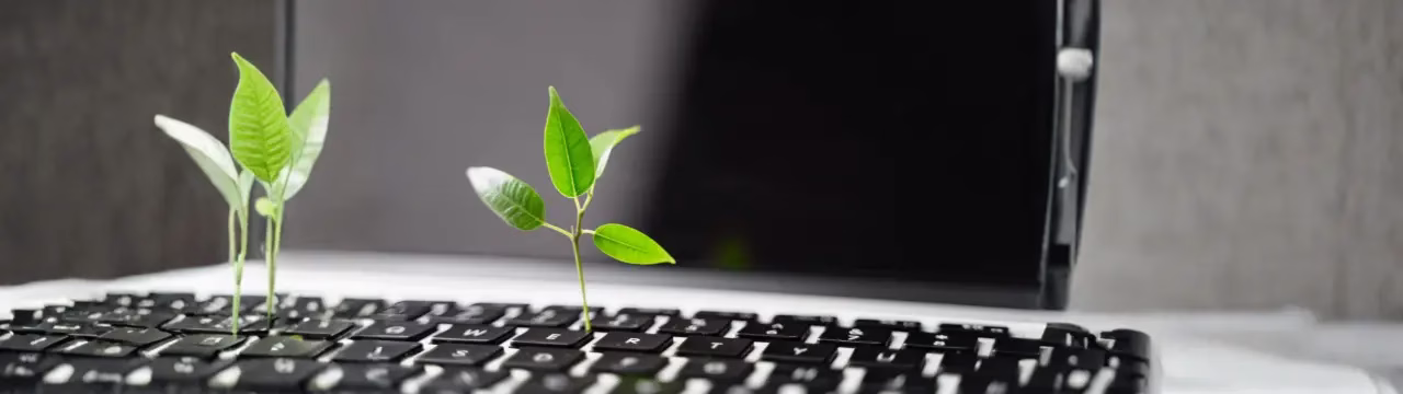 Start Small, Stay Smart: Why Less is More with Your Digital Tools