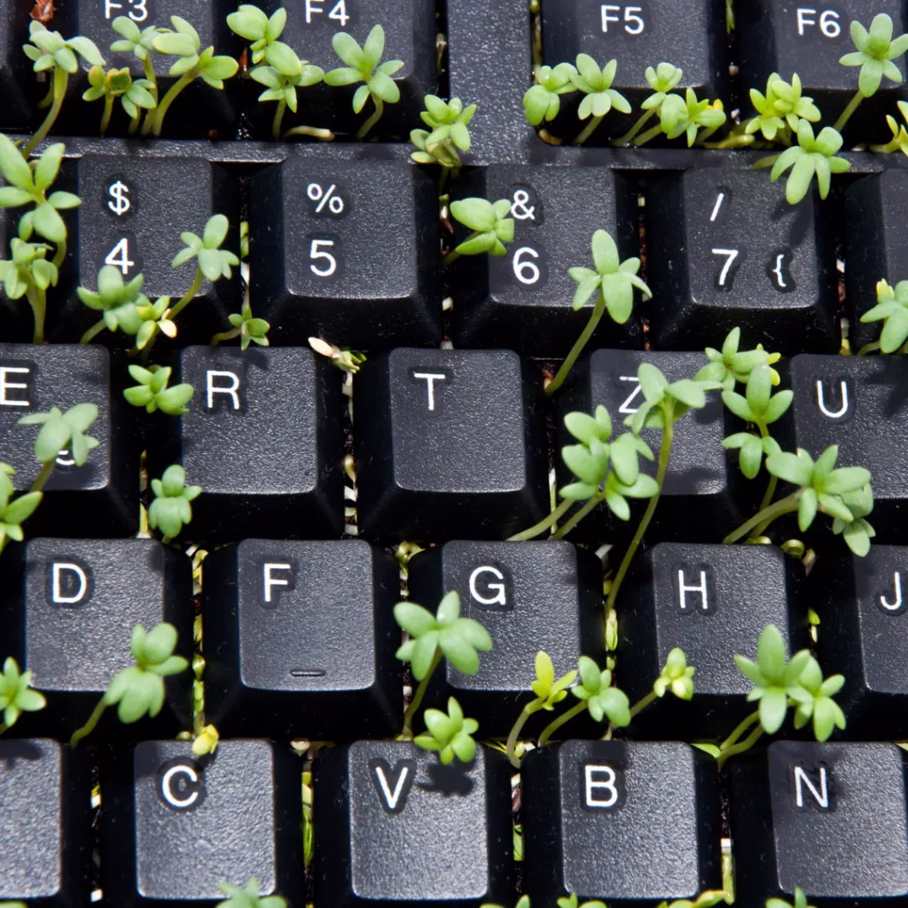 Grow your digital garden and start small with digital tools